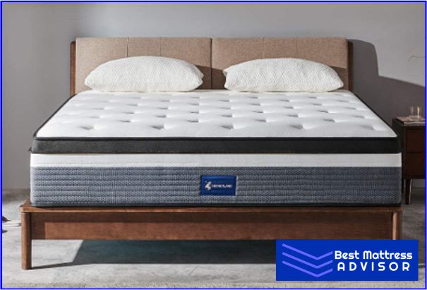 Molblly Queen Mattress