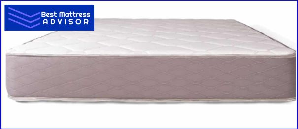 Dream Foam 9 inch Bedding