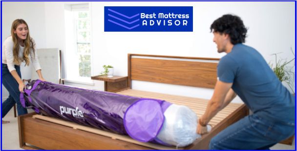 Purple Elastic Polymer Bed