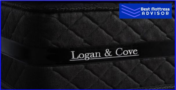 Logan & Cove