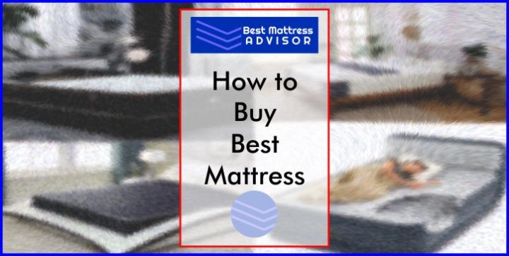 Buy Best Mattress