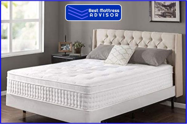 Zinus Sleeper Master Spring