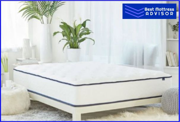 Mattress for Average Weight Back Sleeper