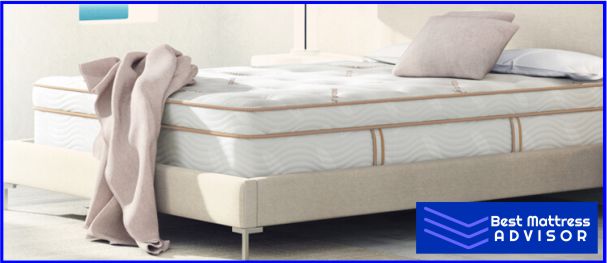 Firm Mattress for Back Sleepers 
