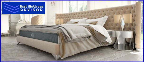 Foam Mattress for Back Sleepers