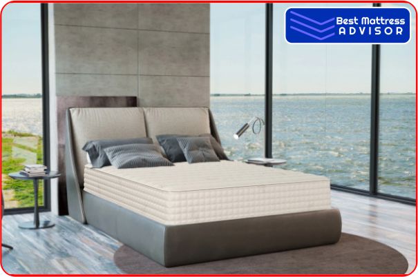 PlushBeds Natural Bliss Mattress