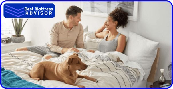 Best Mattress for Pressure Relief 