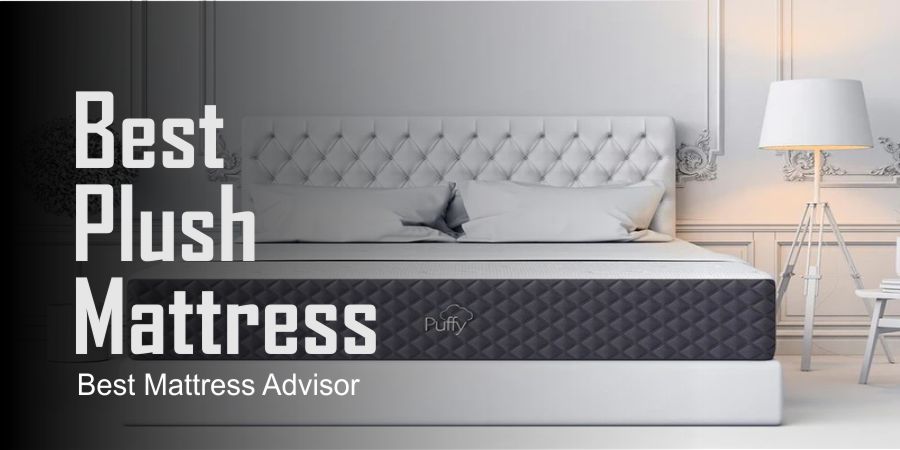 Best Plush Mattress