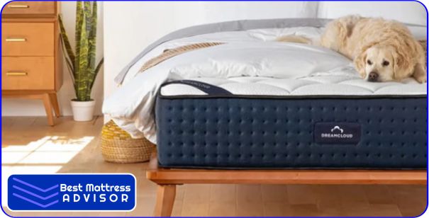 Luxury Hybrid Twin Mattress 