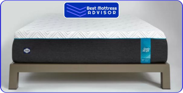 Plush Memory Foam Twin Mattress