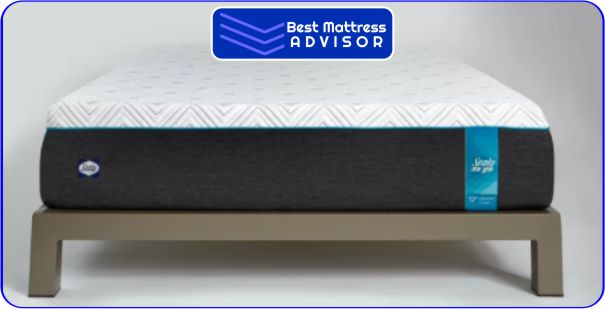 Plush Memory Foam Twin Mattress 