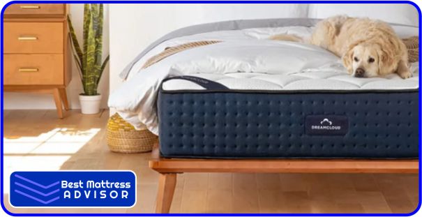 Best Innerspring Mattress for Stomach Sleepers