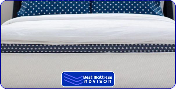 Hybrid Mattress Winkbed