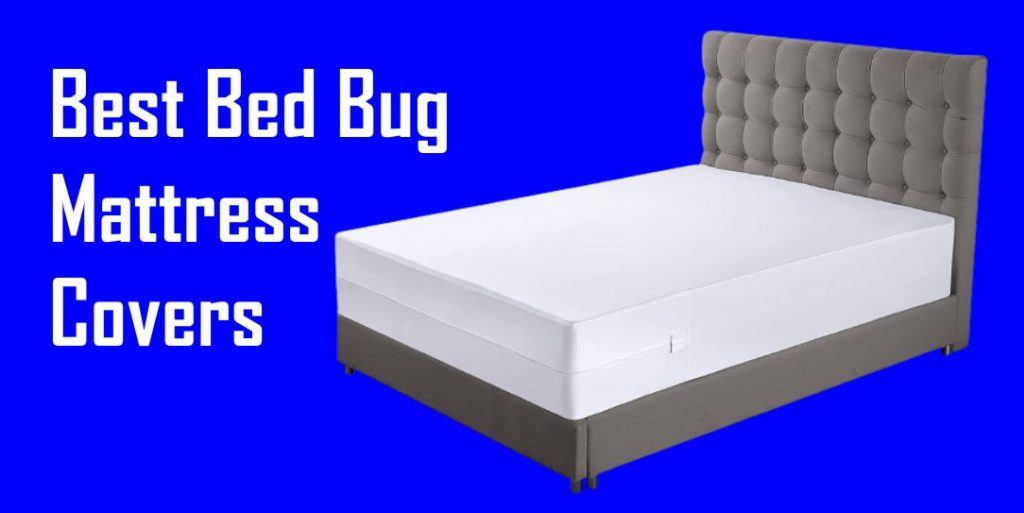 Best Bed Bug Mattress Covers in 2021