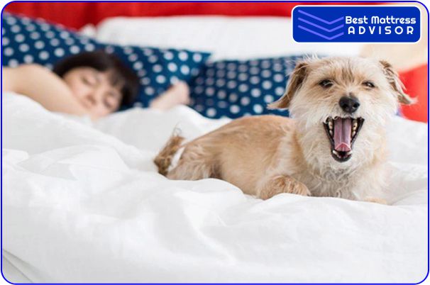 WinkBed Full Size Mattress