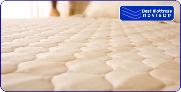 Shield Life Heated Mattress