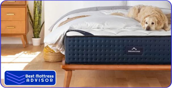 DreamCloud Mattress Toppers for College Students