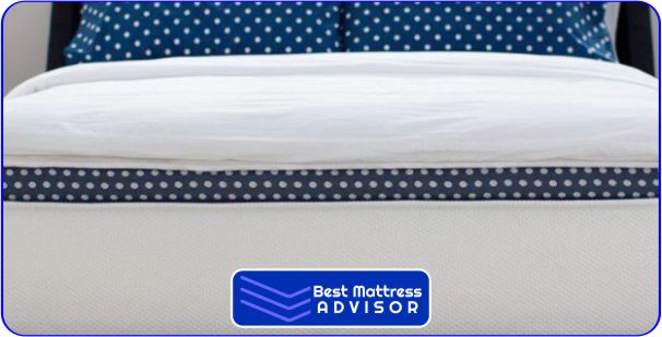 LuxuryFeel WinkBed Mattress Toppers for College Students