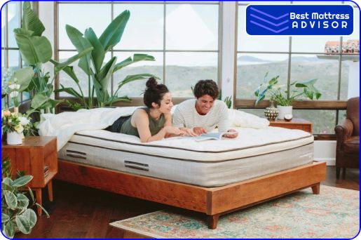 Hybrid Latex Split Firmness Mattress