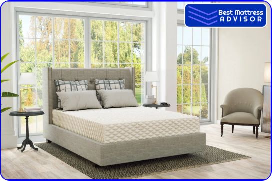 Plush Beds All-Natural Latex Mattress