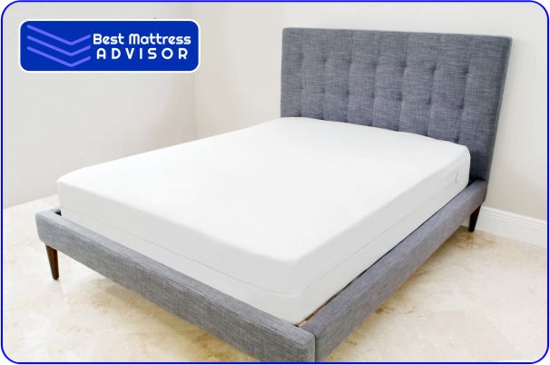 Best Overall- Saferest Bed Bug mattress zippered cover