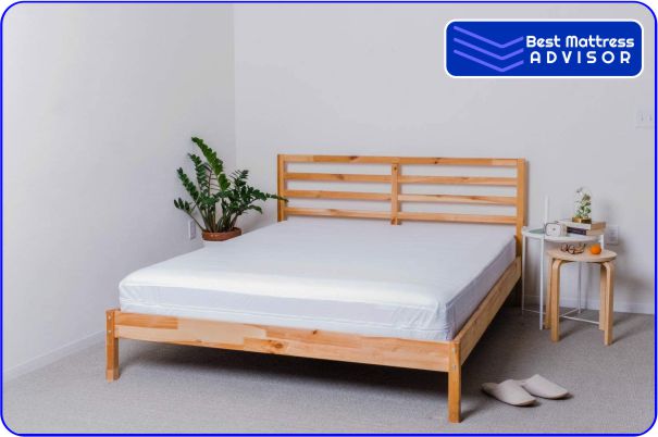 Sleep Defense System Best Bug Bed Mattress