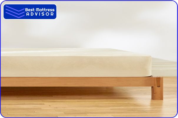 Best Organic Mattress Pad- Birch