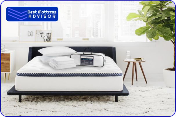 Winkbeds Pillow Top Mattress