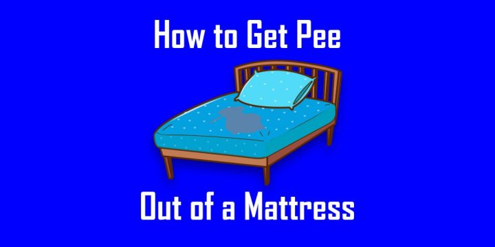 best thing to get pee out of mattress