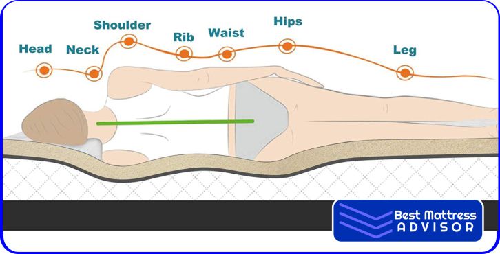 Natural Spine Element in Latex Mattress