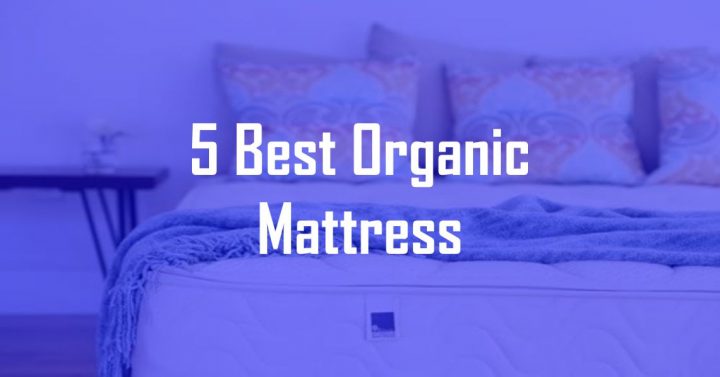 Best Organic Mattress