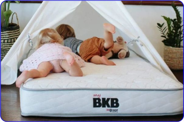 The Big Kids Bed BKB Nest