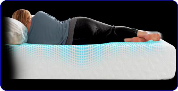 Best Foam Mattress Sealy Cocoon Chill