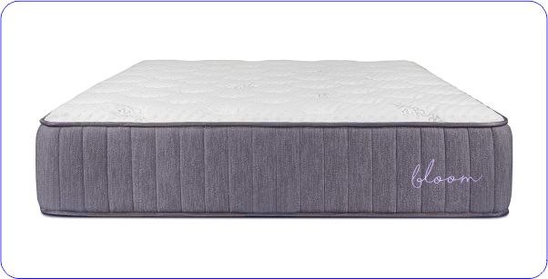 Latex Hybrid Mattress for Side Sleepers