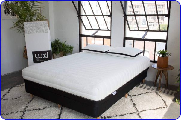 Luxi Adjustable