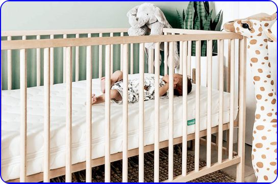 Newton Baby Crib Mattress