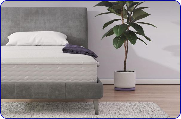 Best Affordable Runner up Signature Sleep