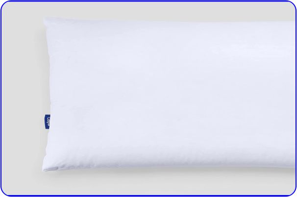 Best for Stomach Sleepers- Casper Down Pillow