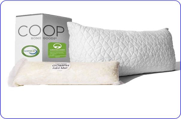 Coop Loft Pillow