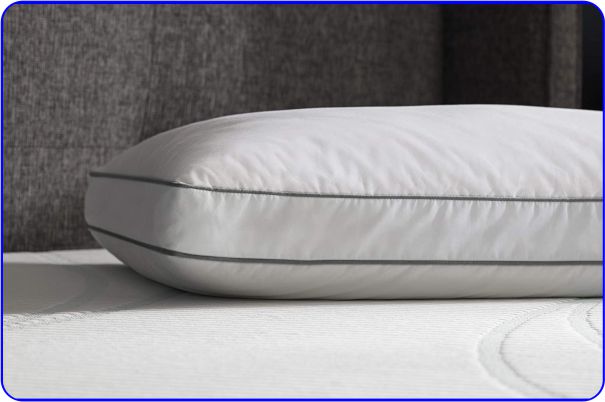 Tempur Material Down Pillow