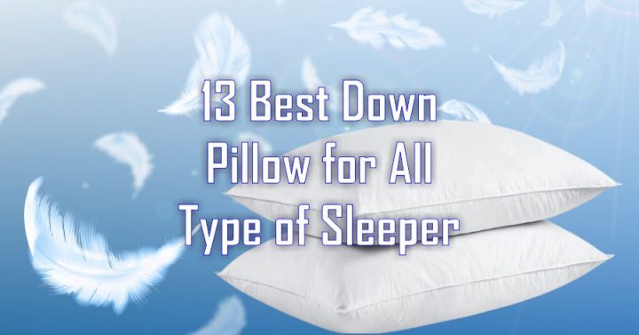 Best Down Pillow