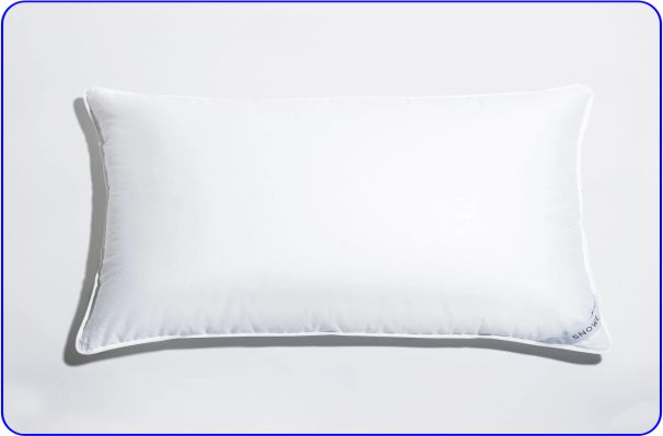 Best Snoove Alternative Pillow