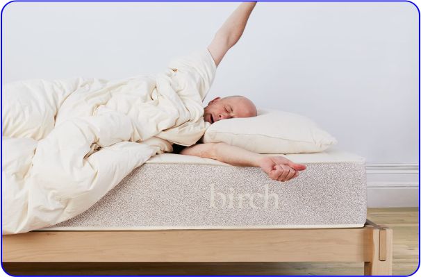 Best Luxury Birch Cushion