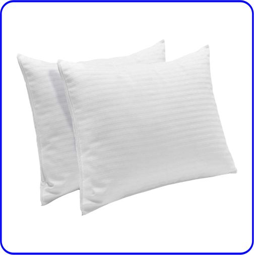 Cotton Polly 2 Pack Pillow Protectors