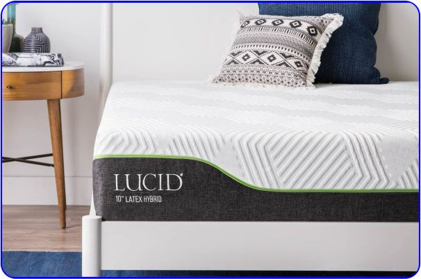 Memory Foam and Responsive Latex Bed