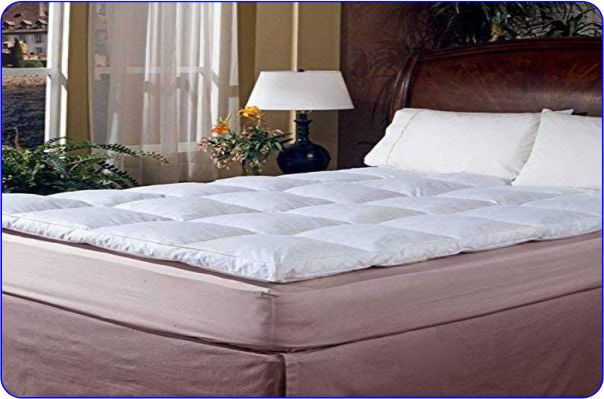 Blue Ridge Feather Mattress Topper