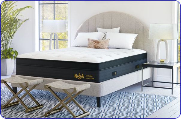 Luxury Firm Hybrid Shoulder Pain Bed