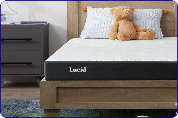 Hypoallergenic Memory Foam Bed- LUCID