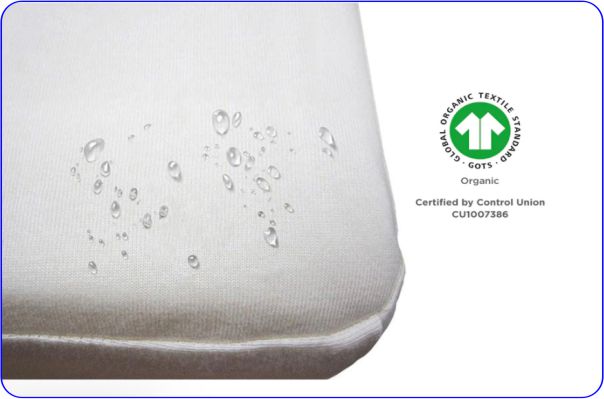 Bed bugs Mattress Prtoector 100% Waterproof