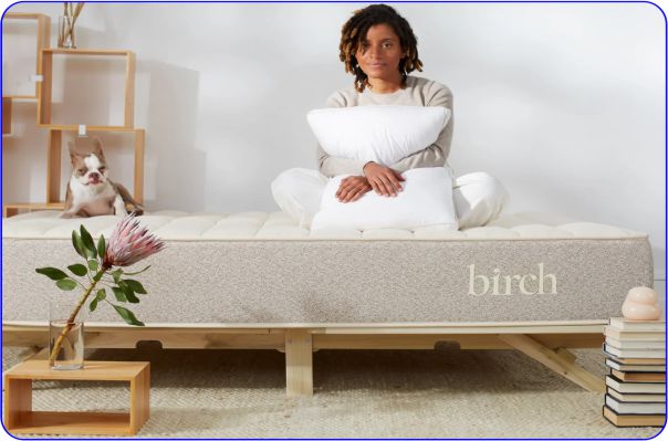 Natural Breathable Bedding Mattress